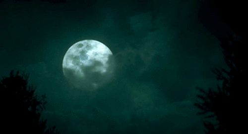 Moon Omen...Do You Know What it Means?